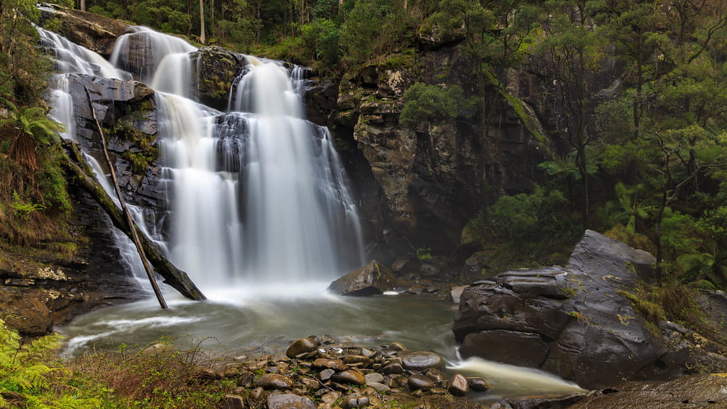 Road Trips around Melbourne - Stevensons Falls